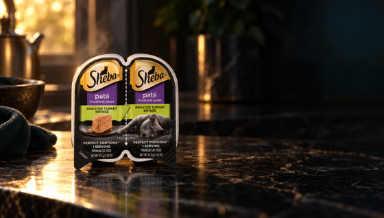 The Sheba Perfect Portions tray on dark marble in warm light